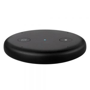 amazon echo input