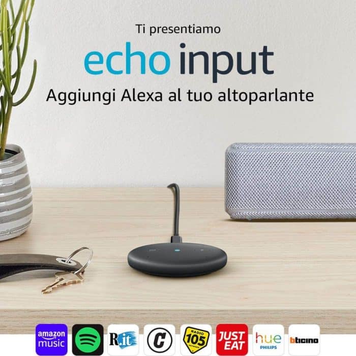 amazon echo input