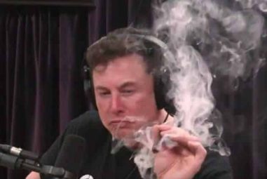 Smart Home Tesla | Elon Musk fuma erba in diretta e parla della sua idea di casa intelligente